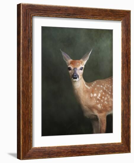 White Tailed Fawn Portrait-Jai Johnson-Framed Giclee Print