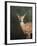 White Tailed Fawn Portrait-Jai Johnson-Framed Giclee Print