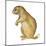 White-Tailed Prairie Dog (Cynomys Gunnisoni), Mammals-Encyclopaedia Britannica-Mounted Art Print