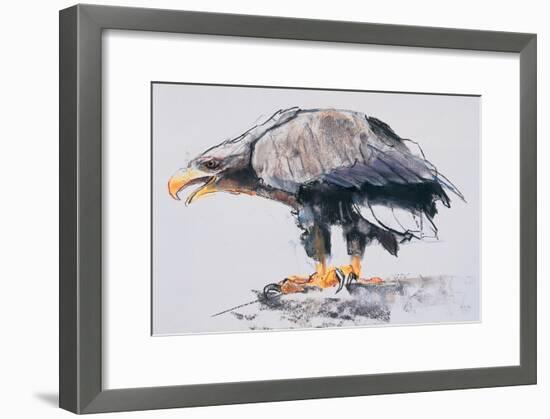 White Tailed Sea Eagle, 2001-Mark Adlington-Framed Giclee Print