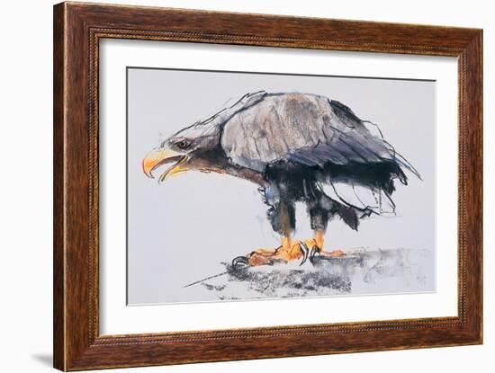 White Tailed Sea Eagle, 2001-Mark Adlington-Framed Giclee Print