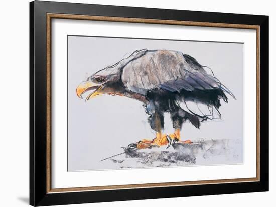 White Tailed Sea Eagle, 2001-Mark Adlington-Framed Giclee Print