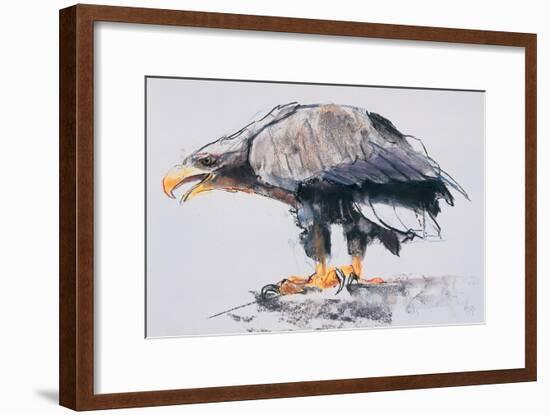 White Tailed Sea Eagle, 2001-Mark Adlington-Framed Giclee Print