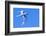 White Tern in Hawaiian a Manu-o-Ku in flight. Waikiki.-Tom Norring-Framed Photographic Print