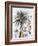 White-Throated Bee-Eater (Merops Albicollis)-null-Framed Giclee Print