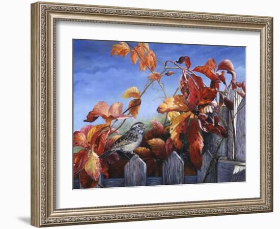 White Throated Sparrow-Kevin Dodds-Framed Giclee Print