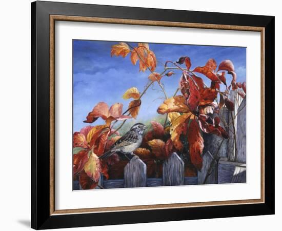 White Throated Sparrow-Kevin Dodds-Framed Giclee Print