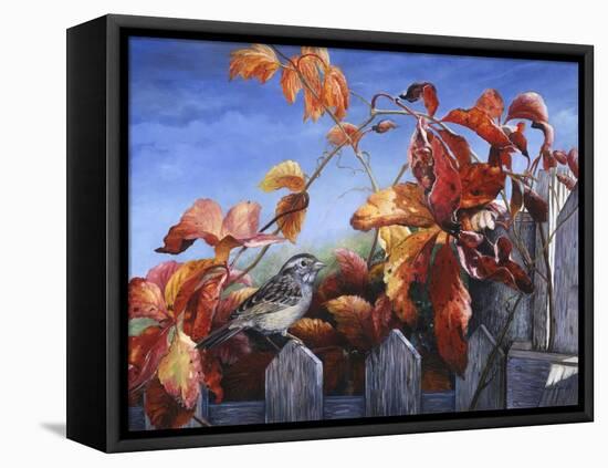White Throated Sparrow-Kevin Dodds-Framed Premier Image Canvas