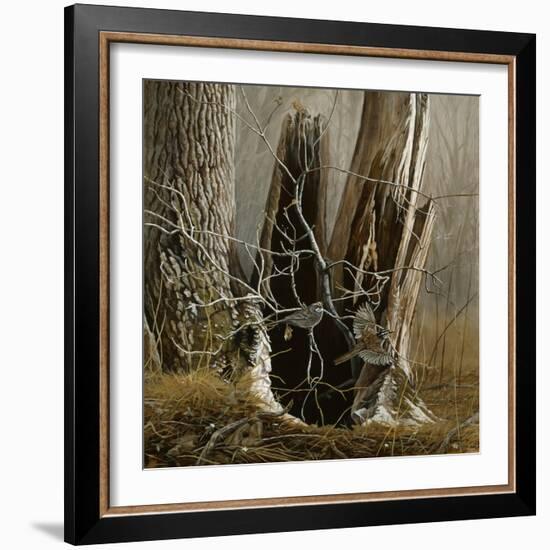 White Throated Sparrows-Michael Budden-Framed Giclee Print