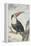 White-Throated Toucan-Aert Schouman-Framed Stretched Canvas