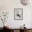 White-Throated Toucan-Aert Schouman-Framed Art Print displayed on a wall