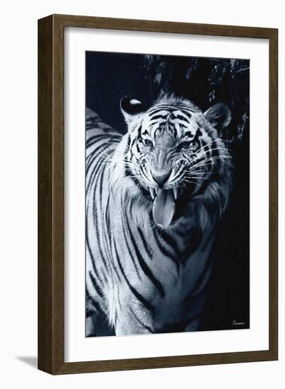 White Tiger 2-Gordon Semmens-Framed Photographic Print