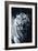 White Tiger 2-Gordon Semmens-Framed Photographic Print