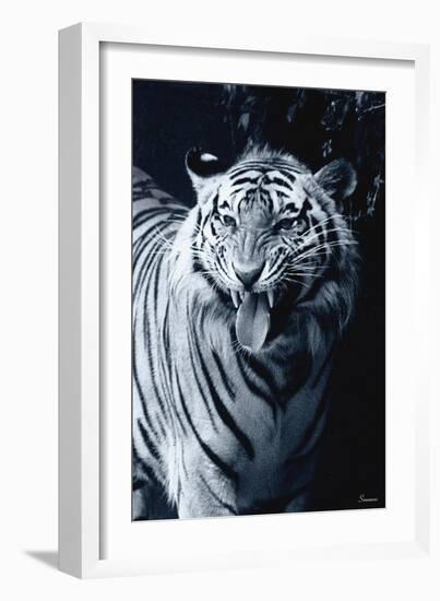 White Tiger 2-Gordon Semmens-Framed Photographic Print