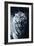 White Tiger 2-Gordon Semmens-Framed Photographic Print