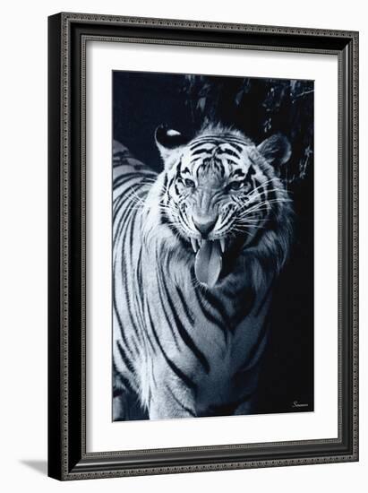 White Tiger 2-Gordon Semmens-Framed Photographic Print