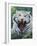 White Tiger 2-Jeff Tift-Framed Giclee Print