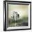 White Tiger near A Pond-abracadabra99-Framed Photographic Print