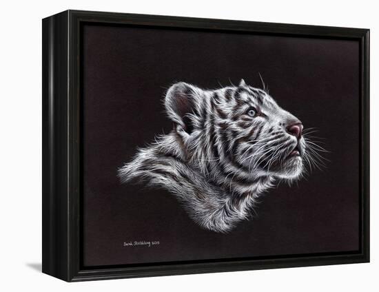 White Tiger Pastel-Sarah Stribbling-Framed Stretched Canvas