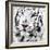 White Tiger-maury75-Framed Photographic Print