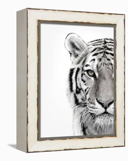 White Tiger-Design Fabrikken-Framed Premier Image Canvas