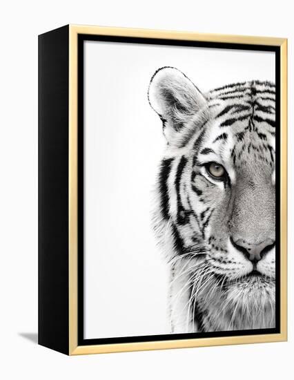 White Tiger-Design Fabrikken-Framed Premier Image Canvas