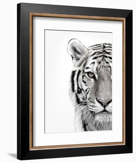 White Tiger-Design Fabrikken-Framed Photographic Print