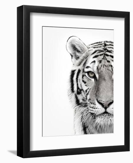 White Tiger-Design Fabrikken-Framed Photographic Print