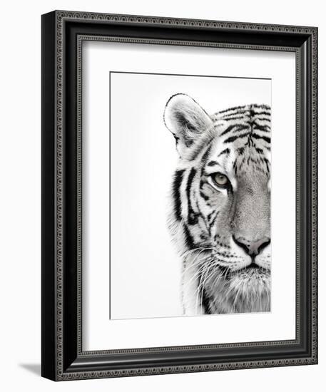 White Tiger-Design Fabrikken-Framed Photographic Print