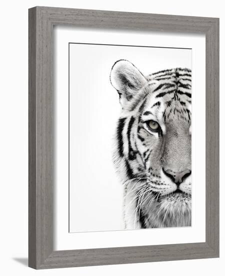 White Tiger-Design Fabrikken-Framed Premium Photographic Print