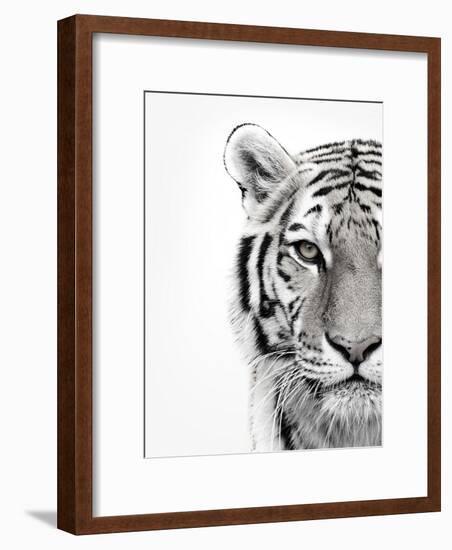 White Tiger-Design Fabrikken-Framed Premium Photographic Print