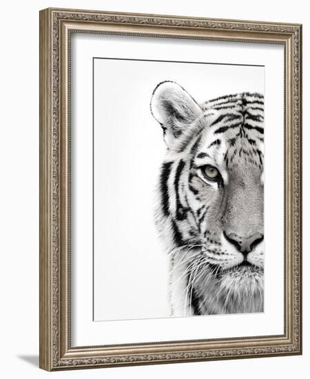 White Tiger-Design Fabrikken-Framed Photographic Print