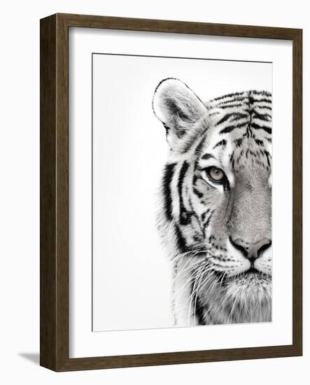 White Tiger-Design Fabrikken-Framed Photographic Print