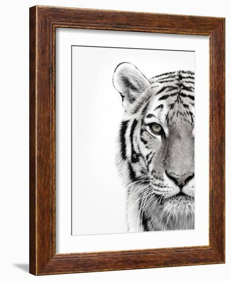 White Tiger-Design Fabrikken-Framed Photographic Print