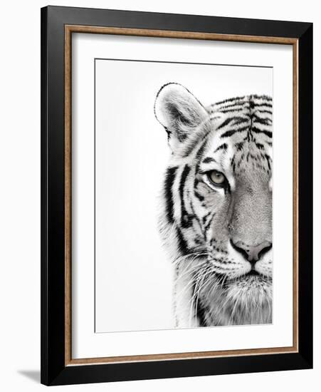 White Tiger-Design Fabrikken-Framed Photographic Print