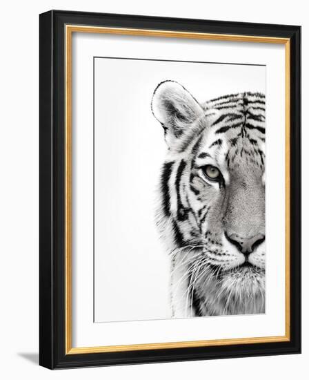 White Tiger-Design Fabrikken-Framed Photographic Print