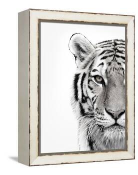 White Tiger-Design Fabrikken-Framed Premier Image Canvas