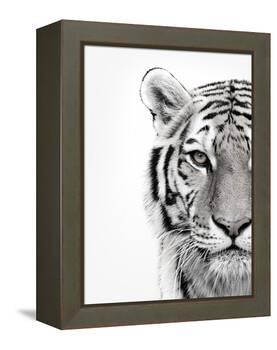 White Tiger-Design Fabrikken-Framed Premier Image Canvas
