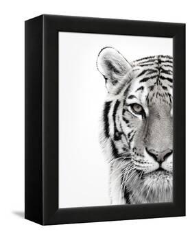 White Tiger-Design Fabrikken-Framed Premier Image Canvas
