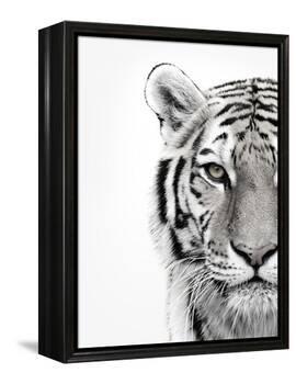 White Tiger-Design Fabrikken-Framed Premier Image Canvas
