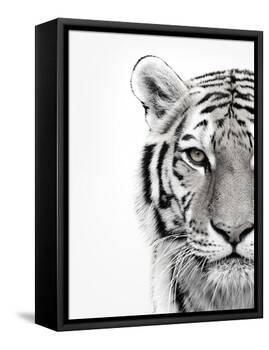 White Tiger-Design Fabrikken-Framed Premier Image Canvas