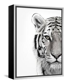 White Tiger-Design Fabrikken-Framed Premier Image Canvas