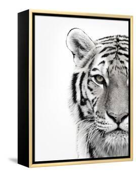 White Tiger-Design Fabrikken-Framed Premier Image Canvas