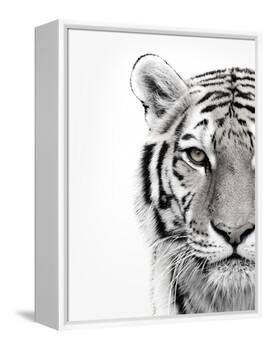 White Tiger-Design Fabrikken-Framed Premier Image Canvas