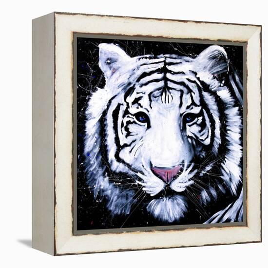 White Tiger-null-Framed Stretched Canvas