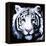 White Tiger-null-Framed Stretched Canvas