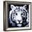 White Tiger-null-Framed Art Print