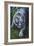 White Tiger-Jenny Newland-Framed Giclee Print