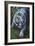 White Tiger-Jenny Newland-Framed Giclee Print