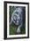 White Tiger-Jenny Newland-Framed Giclee Print